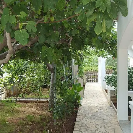 Apartment Marijeta
