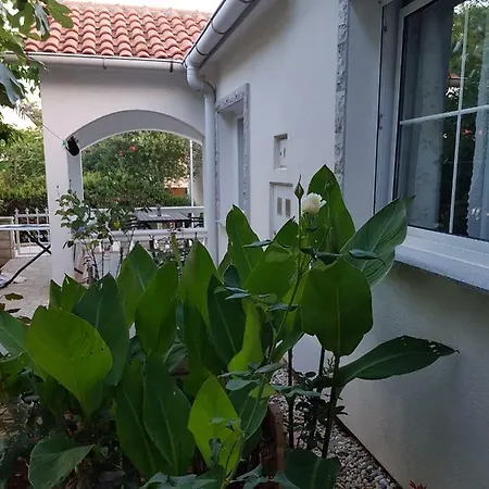 Marijeta Apartment Vir